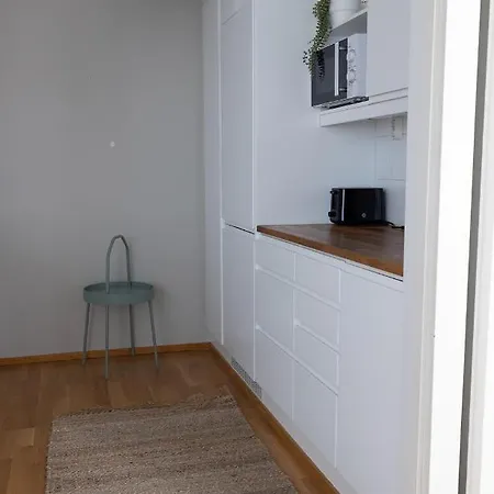 2ndhomes Charming 1br With Sauna In Loennrotinkatu 헬싱키